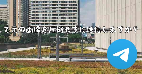 Telegram はどのようにして元の画像を圧縮せずに送信しますか？