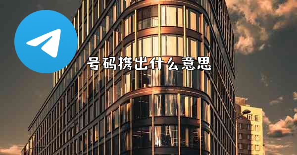 号码携出什么意思