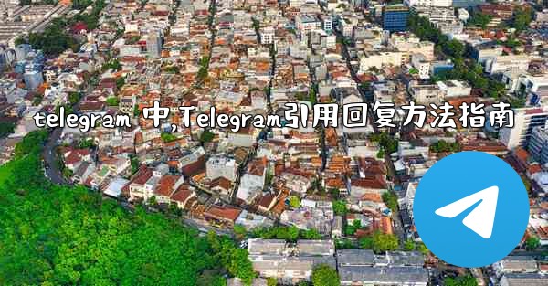 telegram 中,Telegram引用回复方法指南