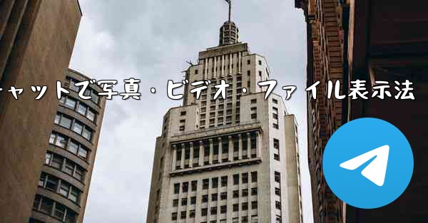 Telegram チャットで写真、ビデオ、ファイルのみを表示するにはどうすればよいですか？_Telegramチャットで写真・ビデオ・ファイル表示法