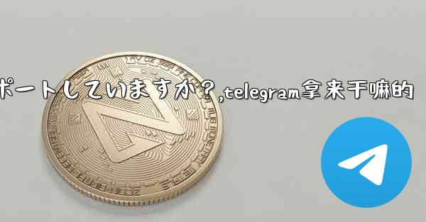 Telegram はどのサイズのファイルの送信をサポートしていますか?,telegram拿来干嘛的