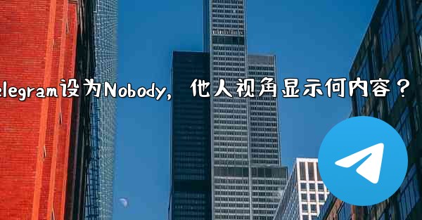 Telegram を「Nobody」に設定すると、他の人には何が表示されますか？-Telegram设为Nobody，他人视角显示何内容？