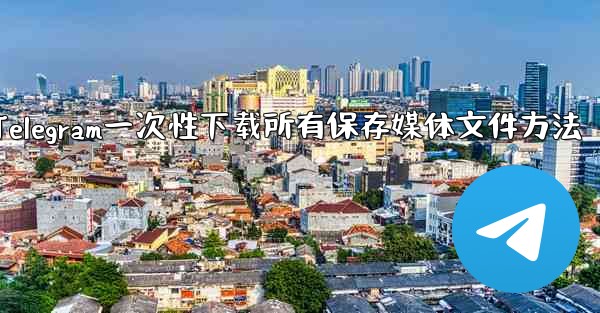 Telegram に保存されたすべてのメディア ファイルを一度にダウンロードするにはどうすればよいですか？-Telegram一次性下载所有保存媒体文件方法