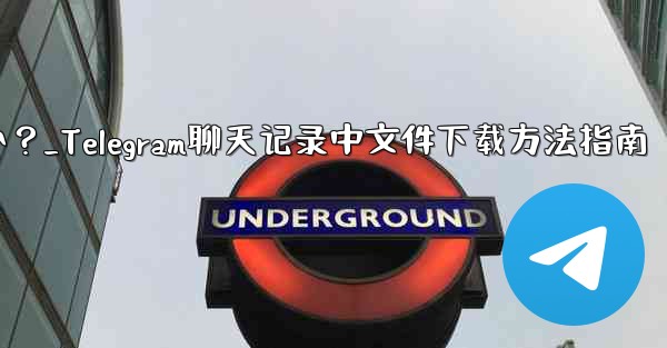 Telegram チャット履歴内のファイルを選択してダウンロードするにはどうすればよいですか？_Telegram聊天记录中文件下载方法指南