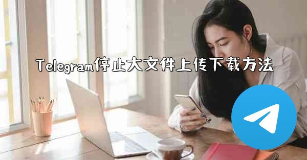 Telegram停止大文件上传下载方法