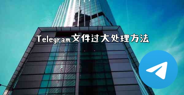 Telegram文件过大处理方法