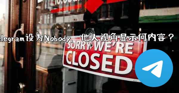 Telegram设为Nobody,他人视角显示何内容?