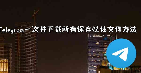 Telegram一次性下载所有保存媒体文件方法