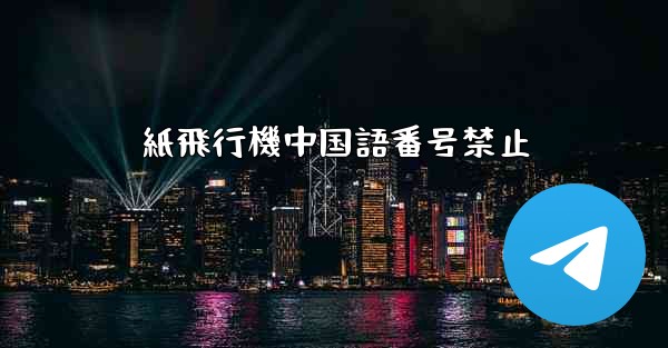 紙飛行機中国語番号禁止