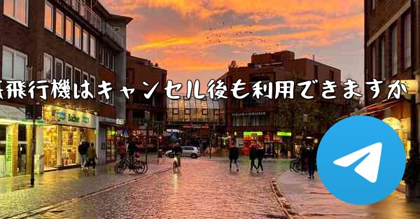 紙飛行機はキャンセル後も利用できますか