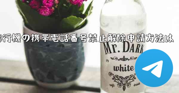 紙飛行機の携帯電話番号禁止解除申請方法は