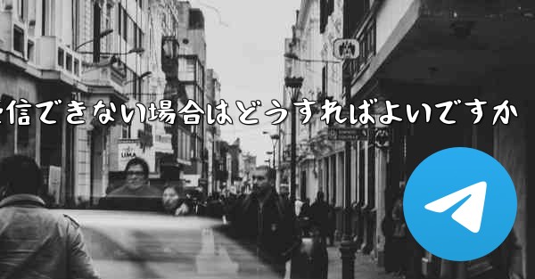 中国でPaper Planeが認証コードを受信できない場合はどうすればよいですか