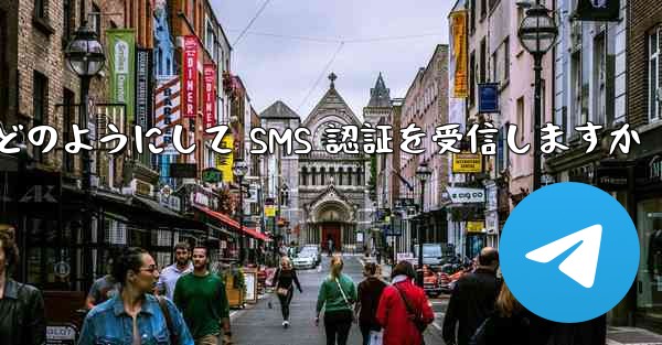 Paper Plane はどのようにして SMS 認証を受信しますか
