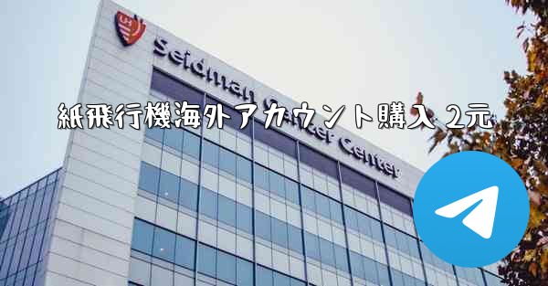 紙飛行機海外アカウント購入 2元