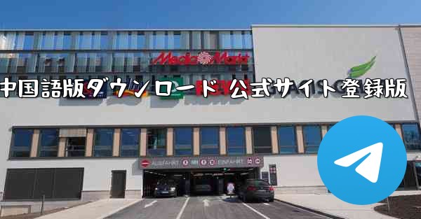 Paper Plane 中国語版ダウンロード 公式サイト登録版