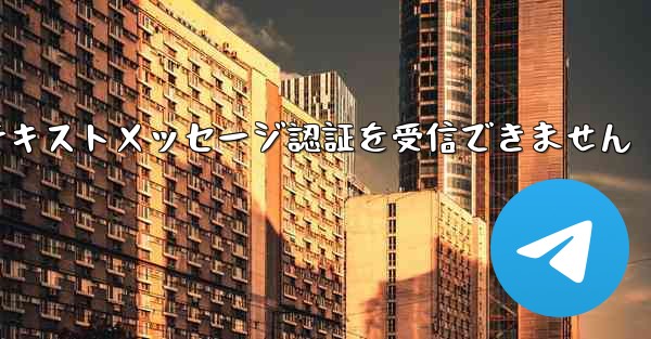 紙飛行機は海外のテキストメッセージ認証を受信できません
