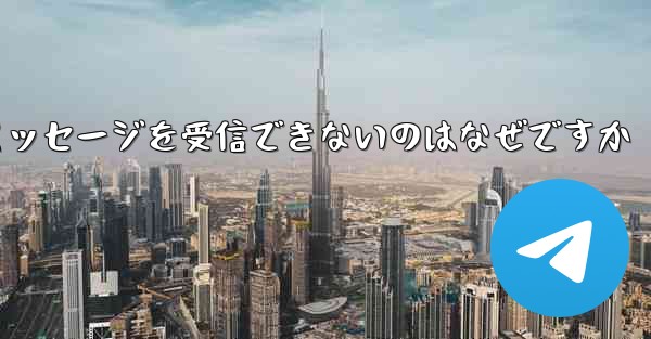 Paper Plane が確認コードのテキスト メッセージを受信できないのはなぜですか