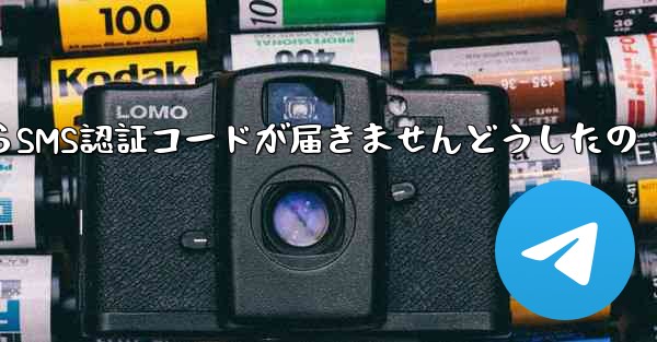 Paper PlaneからSMS認証コードが届きませんどうしたの