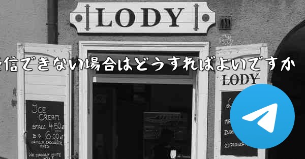 Paper Plane が Vivo で認証コードを受信できない場合はどうすればよいですか