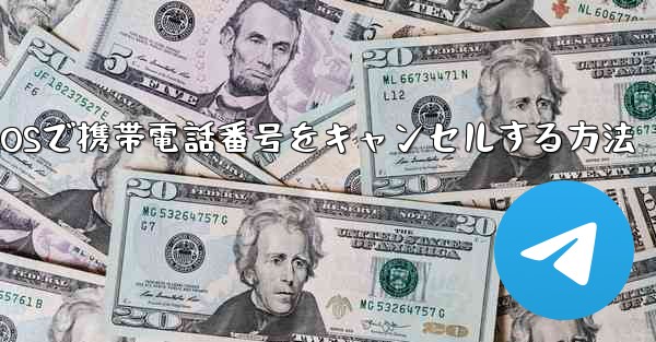 Paper Plane iOSで携帯電話番号をキャンセルする方法