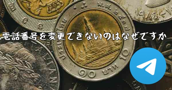 Paper Plane では電話番号を変更できないのはなぜですか