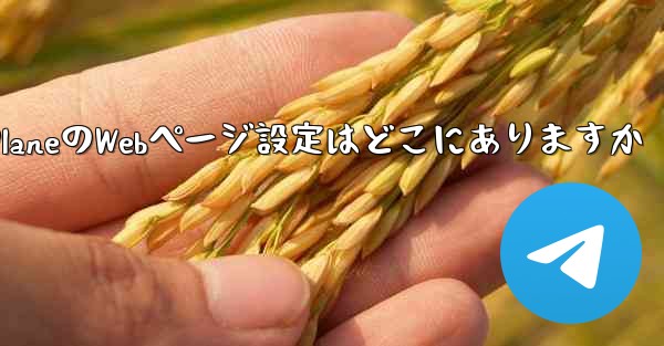 Paper PlaneのWebページ設定はどこにありますか