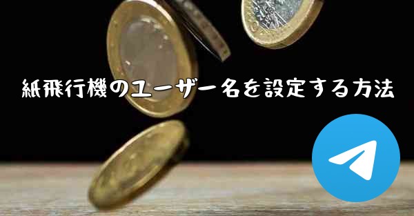 紙飛行機のユーザー名を設定する方法