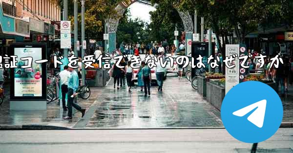 Paper Plane が認証コードを受信できないのはなぜですか