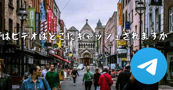 Web バージョンの Paper Plane telegeram ではビデオはどこにキャッシュされますか