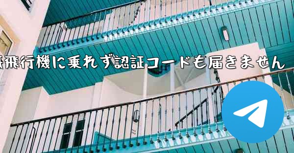 紙飛行機に乗れず認証コードも届きません