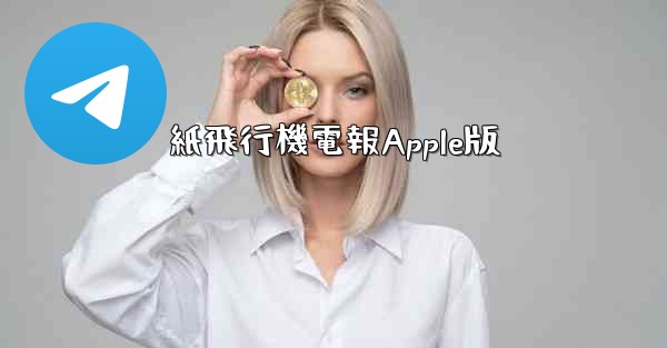 紙飛行機電報Apple版