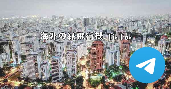 海外の紙飛行機 TikTok