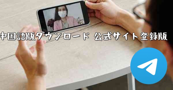 Paper Plane 中国語版ダウンロード 公式サイト登録版