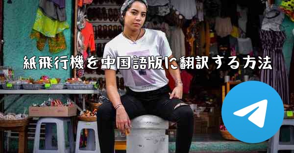 紙飛行機を中国語版に翻訳する方法