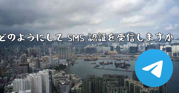 Paper Plane はどのようにして SMS 認証を受信しますか