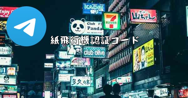 紙飛行機認証コード