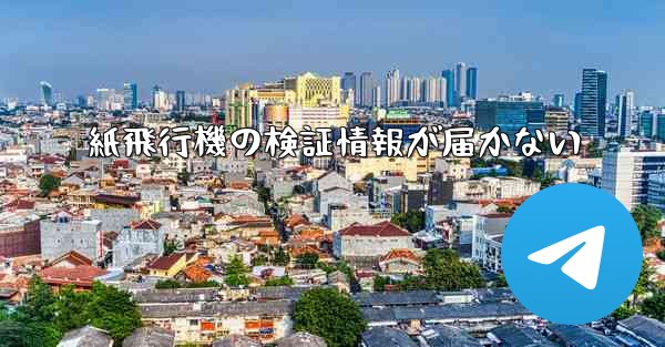 紙飛行機の検証情報が届かない