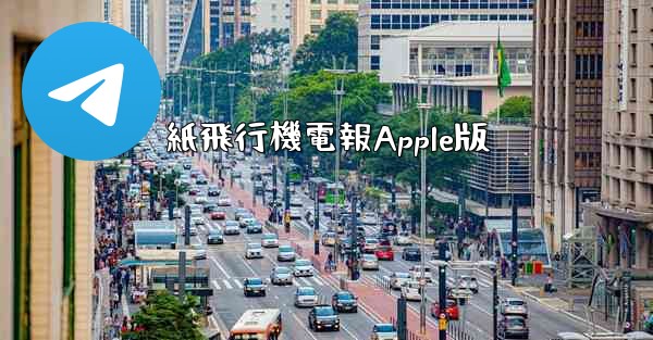 紙飛行機電報Apple版