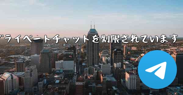 紙飛行機はアクティブなプライベートチャットを制限されています