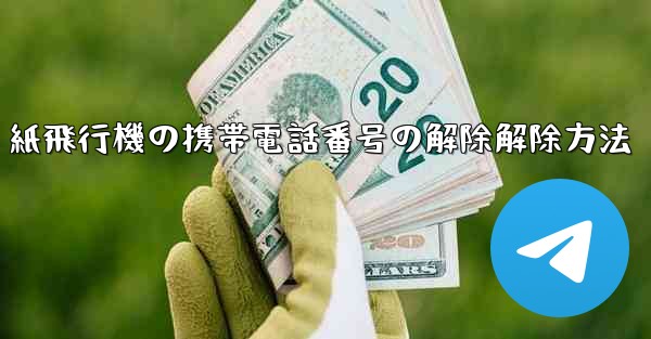 紙飛行機の携帯電話番号の解除解除方法