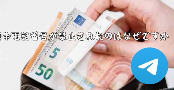 Paper Plane の携帯電話番号が禁止されたのはなぜですか