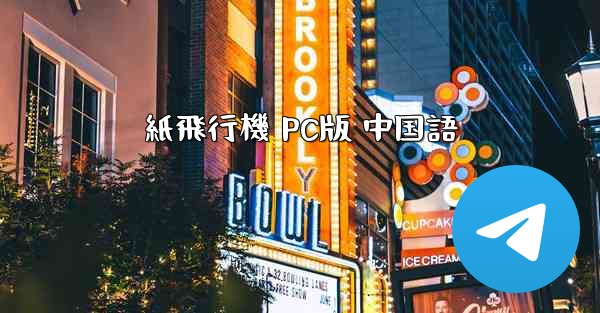 紙飛行機 PC版 中国語