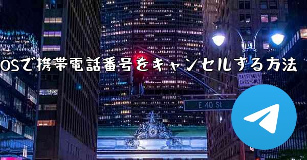 Paper Plane iOSで携帯電話番号をキャンセルする方法