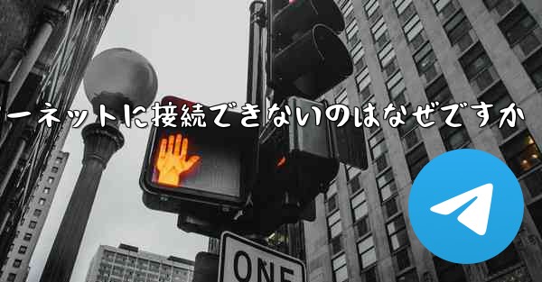 中国では紙飛行機ソフトウェアがインターネットに接続できないのはなぜですか