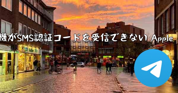 紙飛行機がSMS認証コードを受信できない Apple