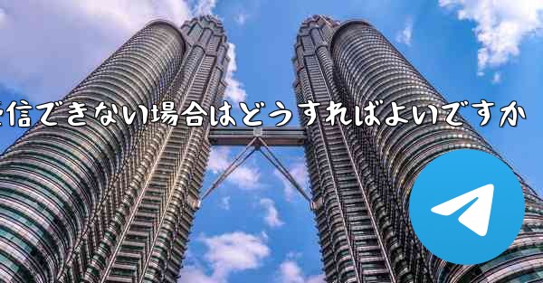 Paper Plane の国内携帯電話番号で認証コードを受信できない場合はどうすればよいですか