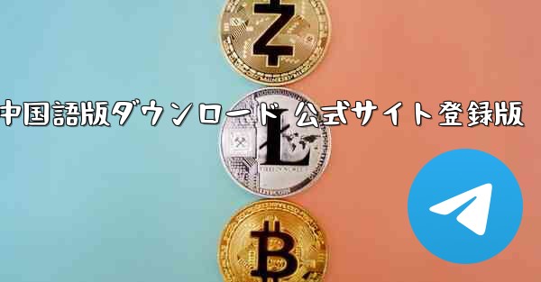 Paper Plane 中国語版ダウンロード 公式サイト登録版