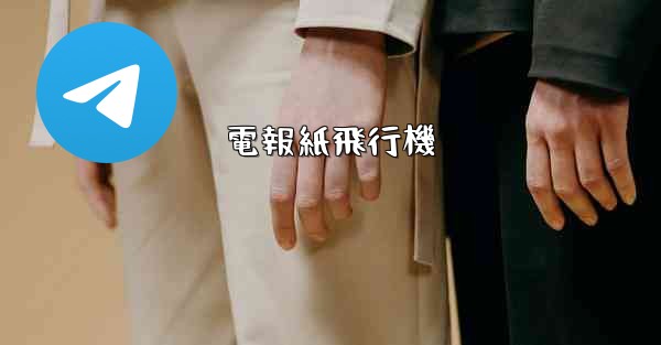 電報紙飛行機