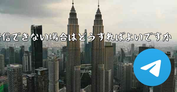 Paper Plane の国内携帯電話番号で認証コードを受信できない場合はどうすればよいですか