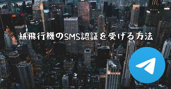 紙飛行機のSMS認証を受ける方法